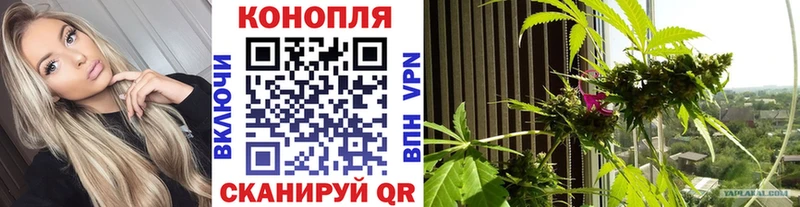 Бошки марихуана OG Kush  где купить   Шелехов 